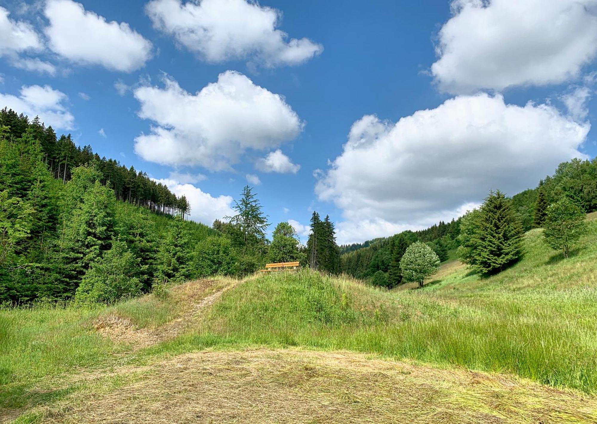 Erzgebirge Suite Bergruhe Oberwiesenthal Eksteriør bilde