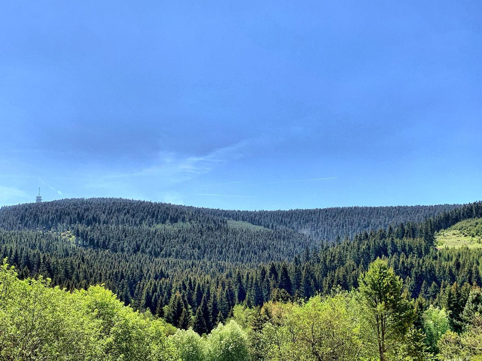 Erzgebirge Suite Bergruhe Oberwiesenthal Eksteriør bilde
