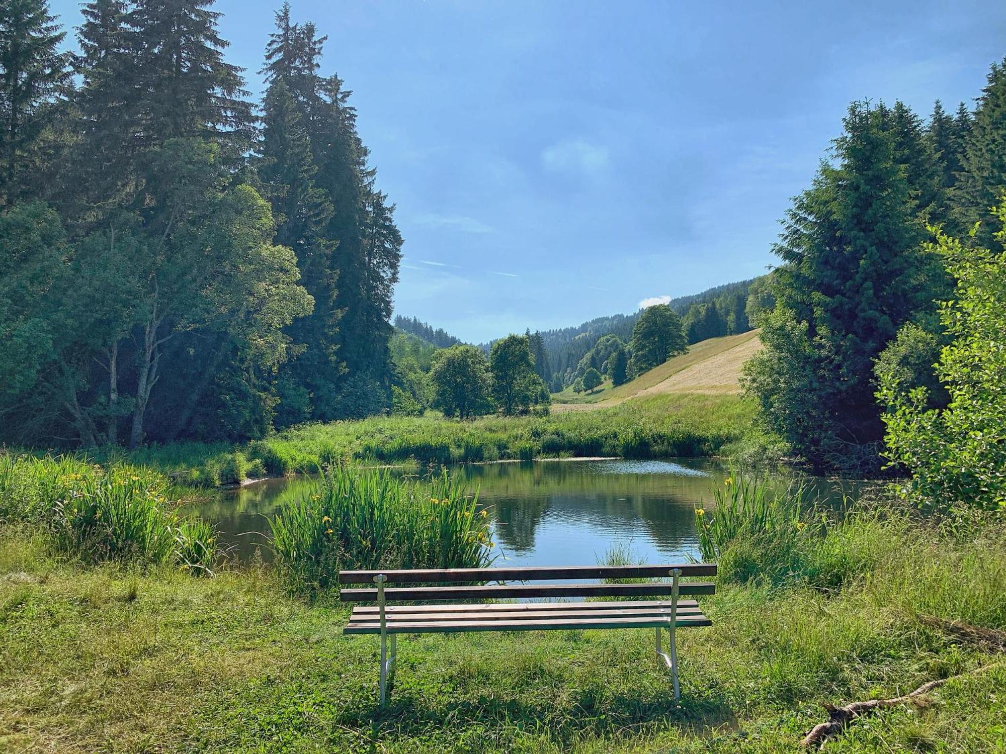Erzgebirge Suite Bergruhe Oberwiesenthal Eksteriør bilde